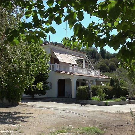 Το Κτήμα Της Ελιάς Του Τάκη Guest House Paralia Demonias Bagian luar foto