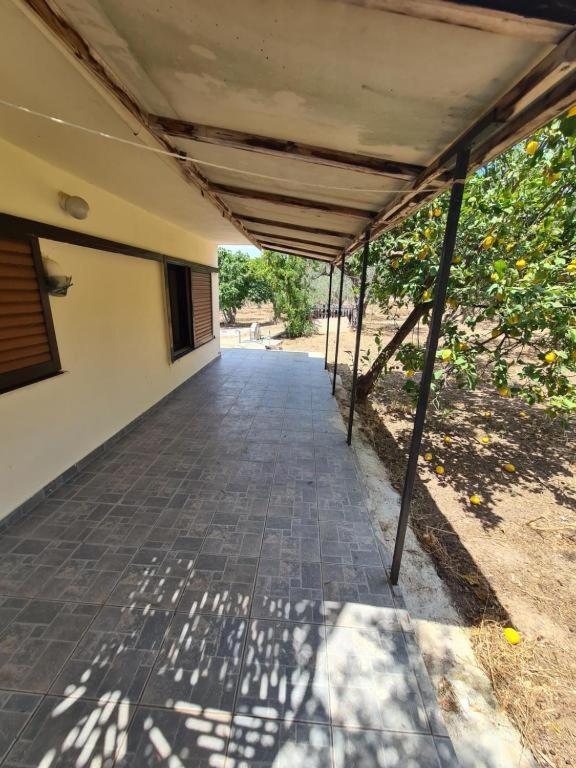 Το Κτήμα Της Ελιάς Του Τάκη Guest House Paralia Demonias Bagian luar foto