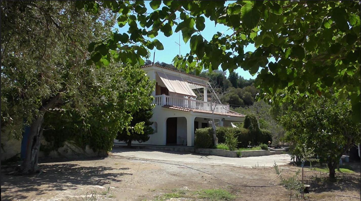 Το Κτήμα Της Ελιάς Του Τάκη Guest House Paralia Demonias Bagian luar foto