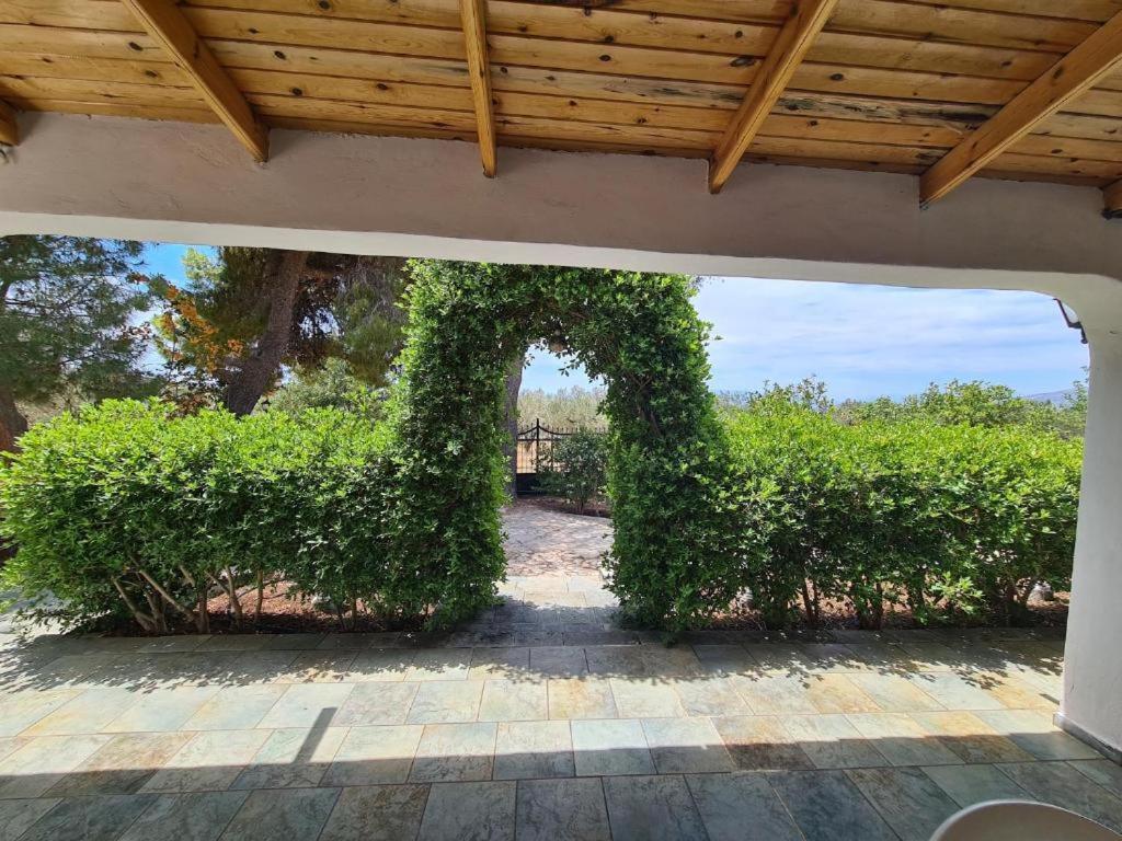Το Κτήμα Της Ελιάς Του Τάκη Guest House Paralia Demonias Bagian luar foto